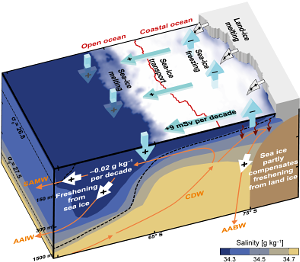 Haumann et al. (2016), Nature.